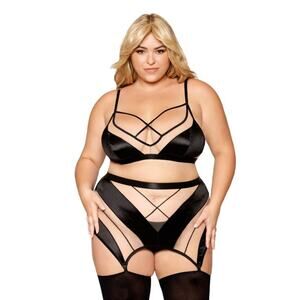 Dreamgirl Sheer Panel Bralette, Garter Skirt, and G-String Set: Black 1X